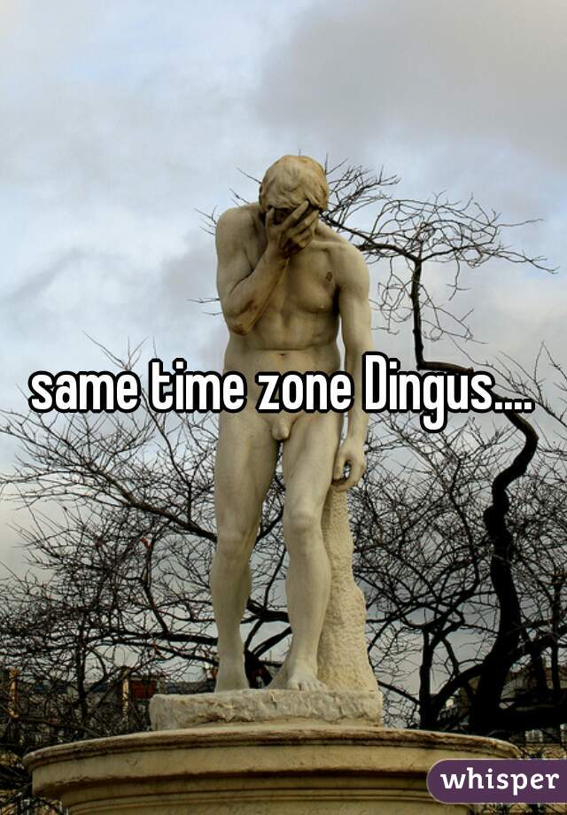 same time zone Dingus....