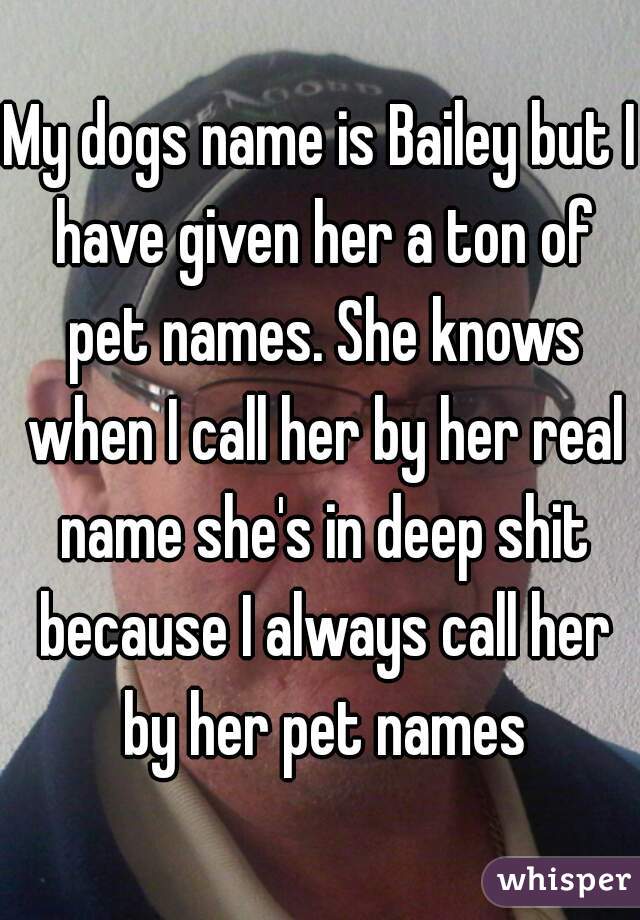 My dogs name is Bailey but I have given her a ton of pet names. She knows when I call her by her real name she's in deep shit because I always call her by her pet names