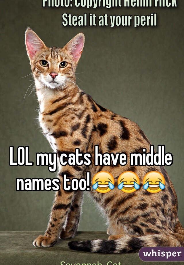 LOL my cats have middle names too!😂😂😂