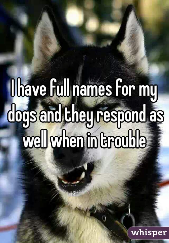 I have full names for my dogs and they respond as well when in trouble 