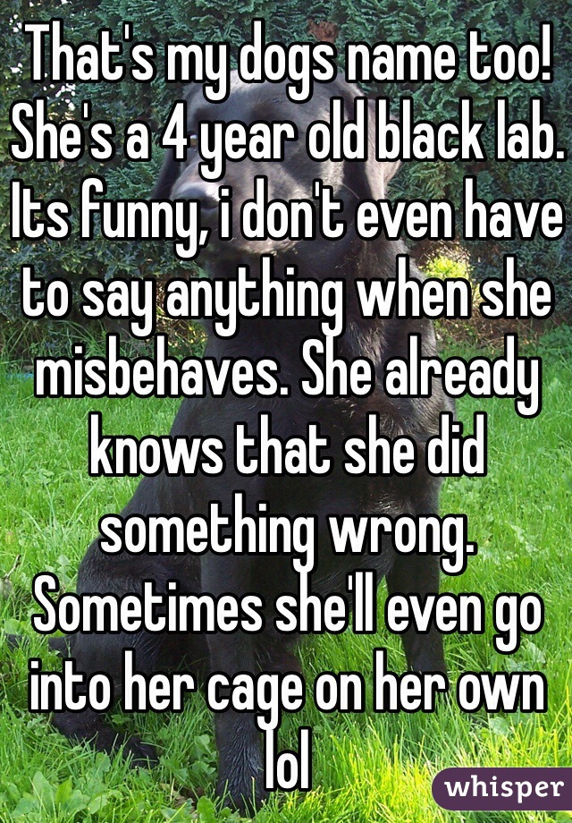 That's my dogs name too! She's a 4 year old black lab. Its funny, i don't even have to say anything when she misbehaves. She already knows that she did something wrong. Sometimes she'll even go into her cage on her own lol