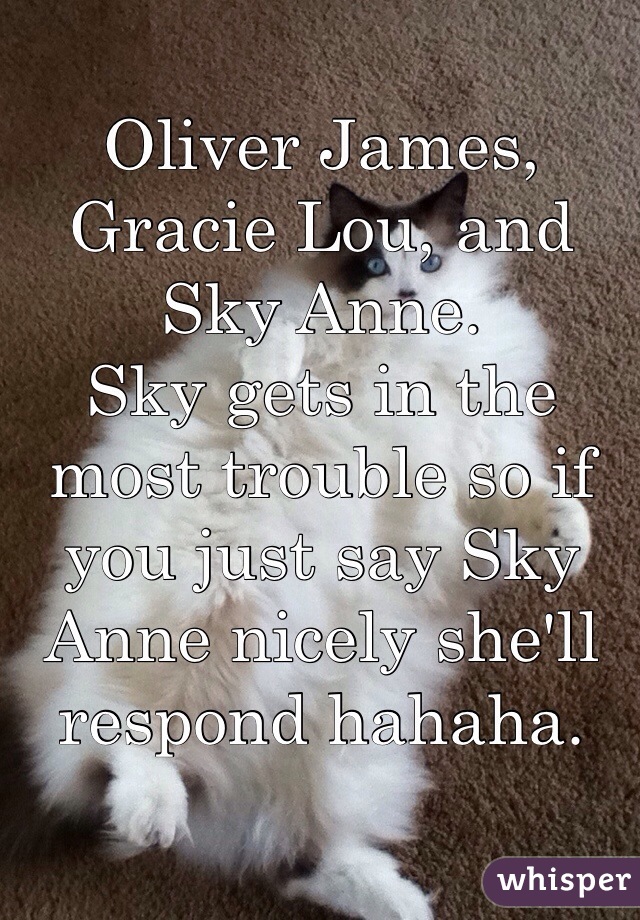 Oliver James, Gracie Lou, and Sky Anne.
Sky gets in the most trouble so if you just say Sky Anne nicely she'll respond hahaha.