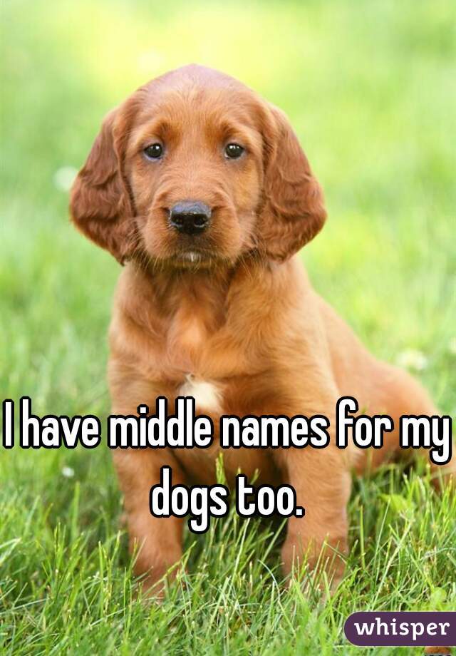 I have middle names for my dogs too. 