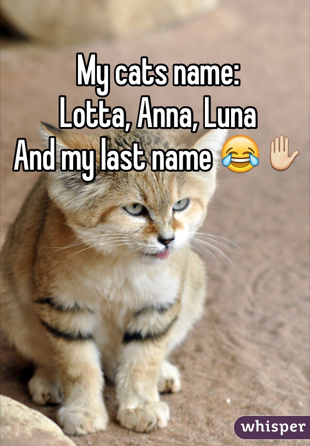 My cats name:
Lotta, Anna, Luna 
And my last name 😂✋