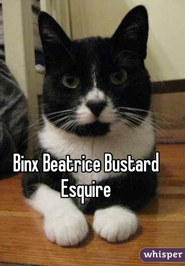 Binx Beatrice Bustard Esquire