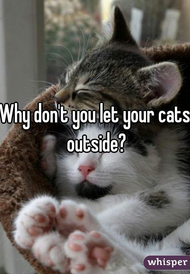 Why don't you let your cats outside?