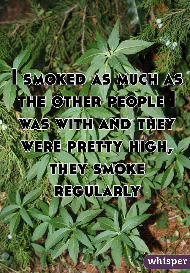 I smoked as much as the other people I was with and they were pretty high, they smoke regularly