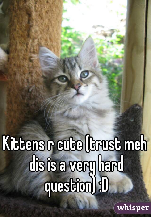 Kittens r cute (trust meh dis is a very hard question) :D