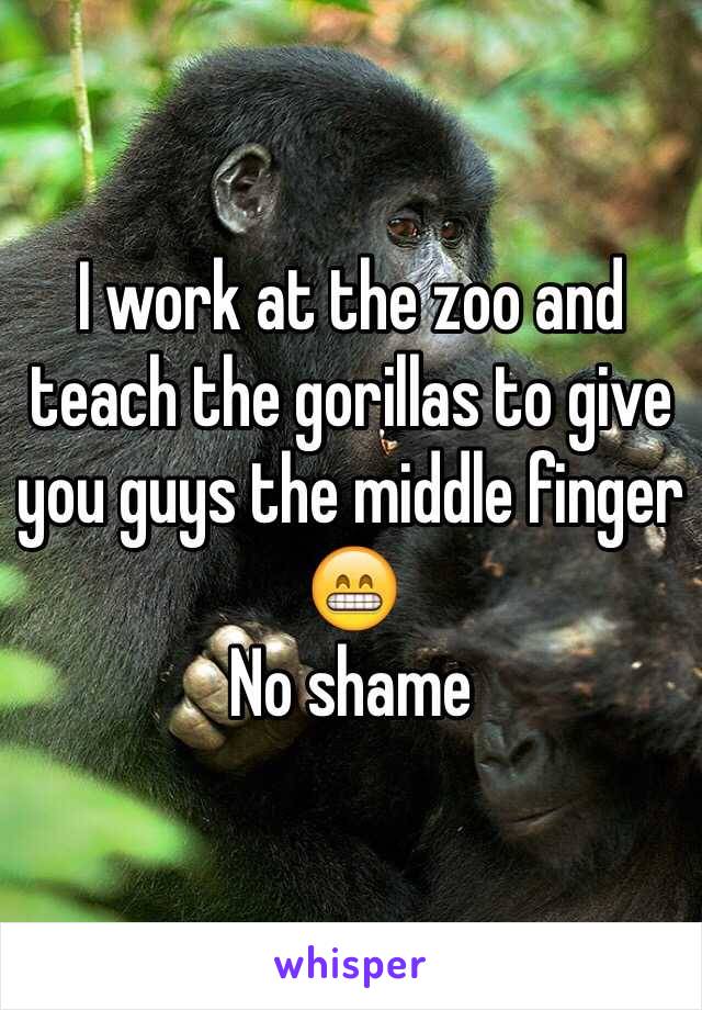I work at the zoo and teach the gorillas to give you guys the middle finger 😁 
No shame 