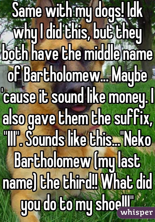 Same with my dogs! Idk why I did this, but they both have the middle name of Bartholomew... Maybe 'cause it sound like money. I also gave them the suffix, "III". Sounds like this..."Neko Bartholomew (my last name) the third!! What did you do to my shoe!!!"