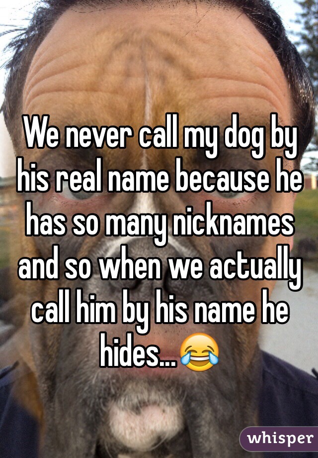 We never call my dog by his real name because he has so many nicknames and so when we actually call him by his name he hides...😂