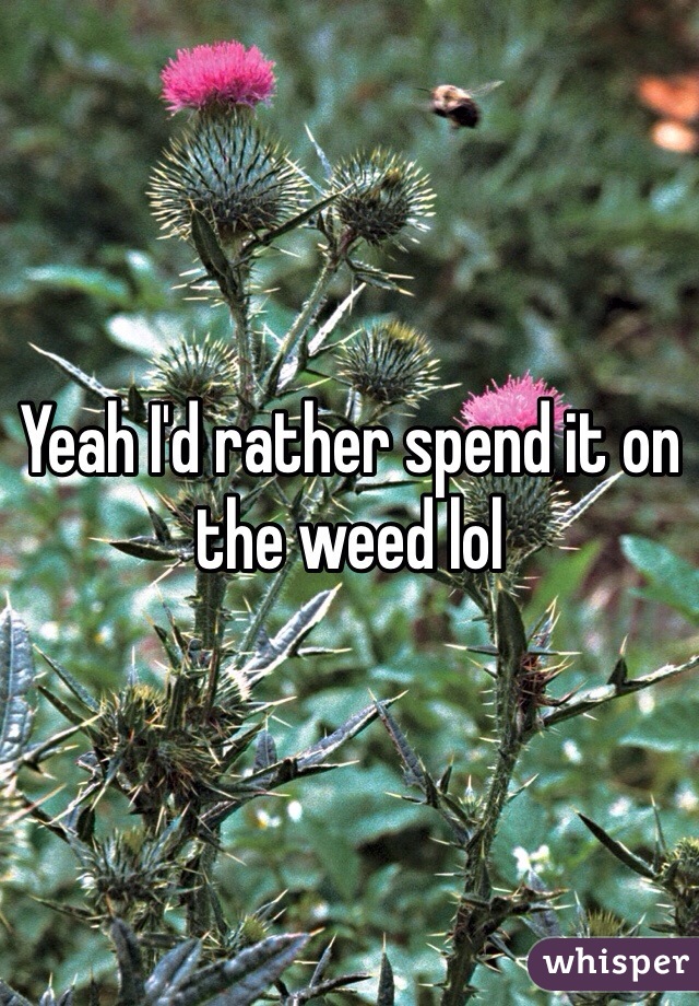 Yeah I'd rather spend it on the weed lol