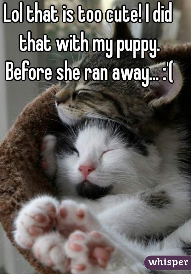 Lol that is too cute! I did that with my puppy. Before she ran away... :'(