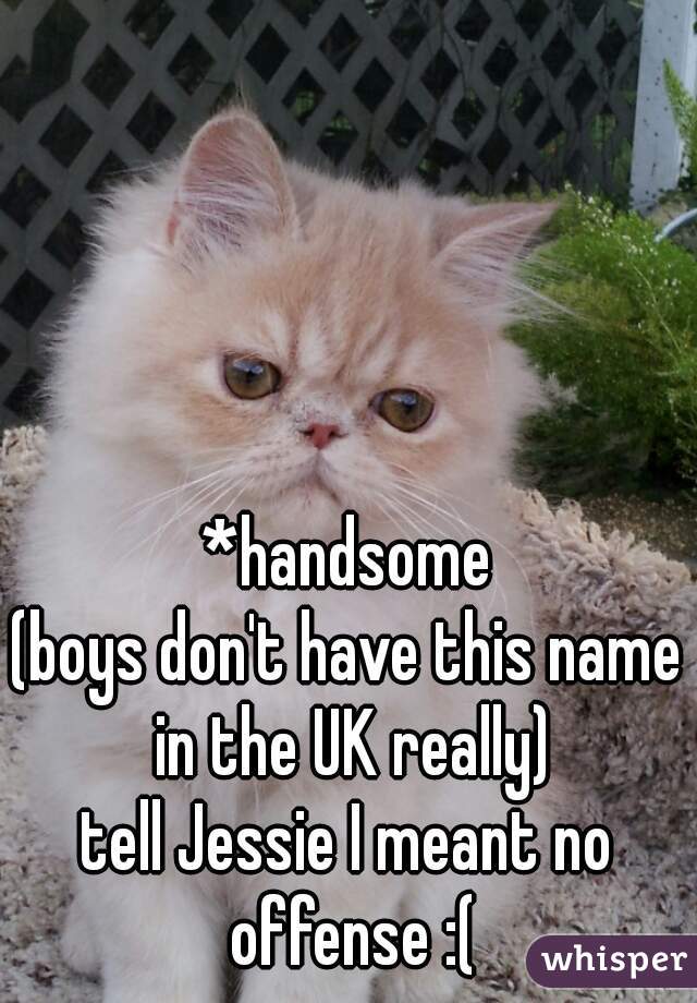 *handsome
(boys don't have this name in the UK really)
tell Jessie I meant no offense :(