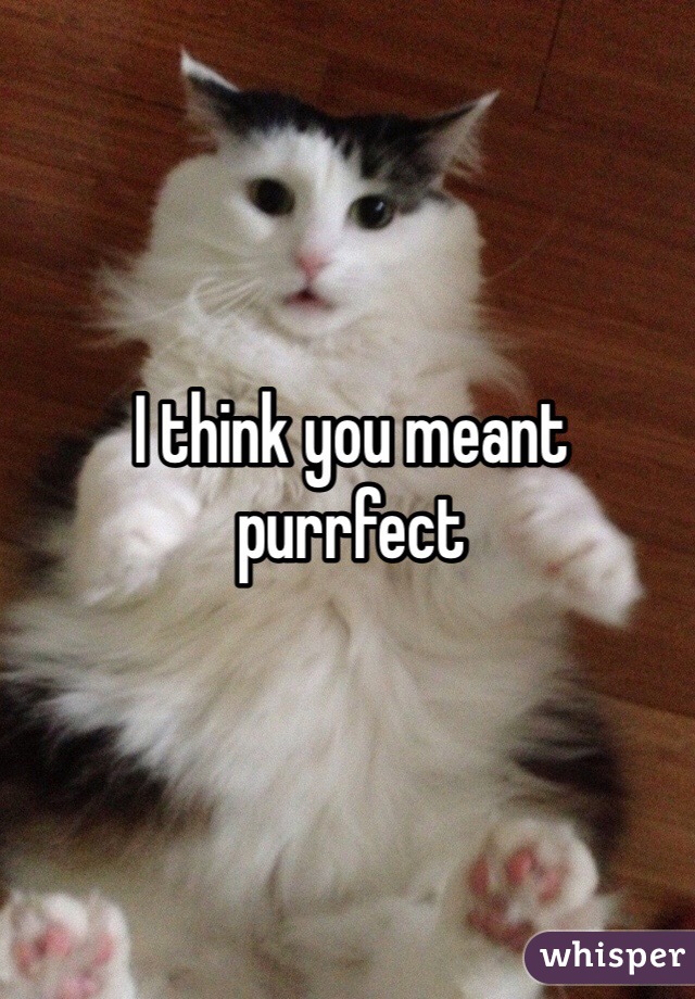 I think you meant purrfect 