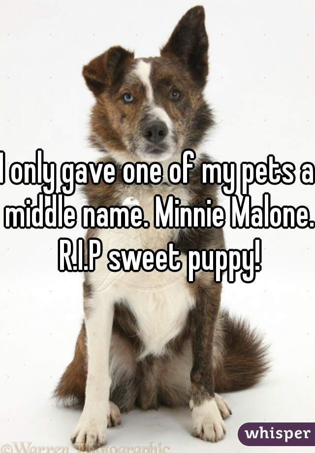 I only gave one of my pets a middle name. Minnie Malone. R.I.P sweet puppy!