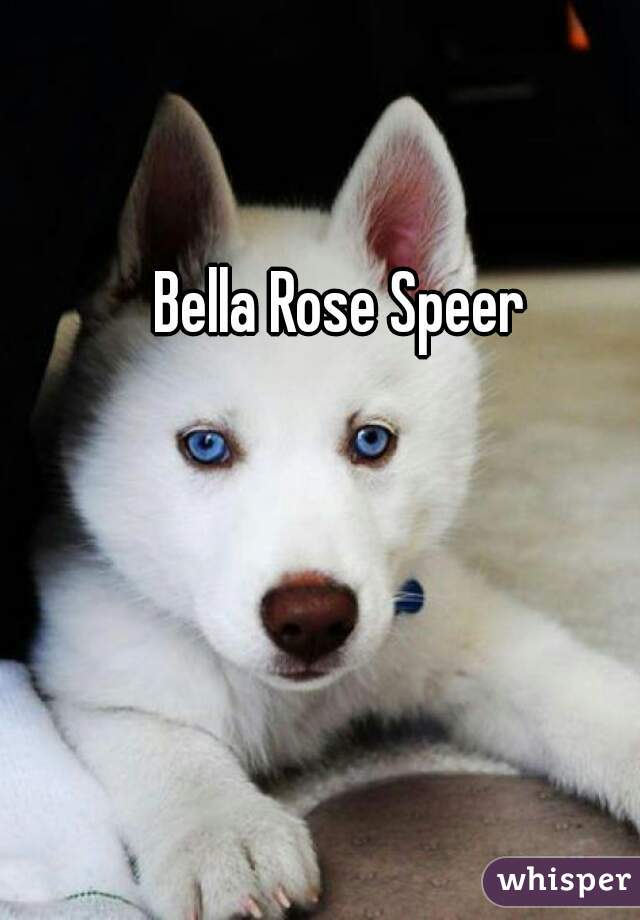 Bella Rose Speer 