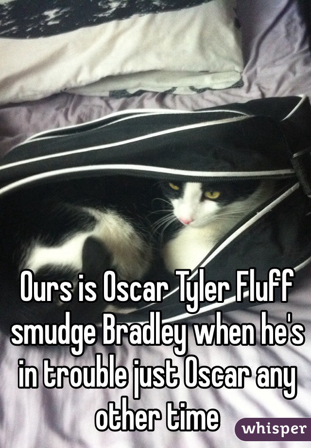 Ours is Oscar Tyler Fluff smudge Bradley when he's in trouble just Oscar any other time