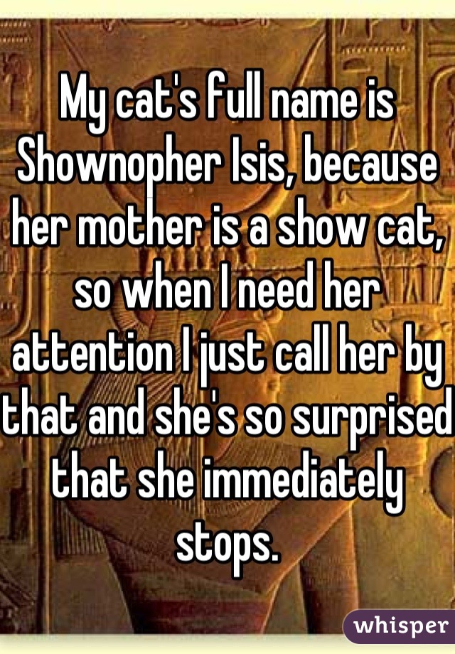 My cat's full name is Shownopher Isis, because her mother is a show cat, so when I need her attention I just call her by that and she's so surprised that she immediately stops.