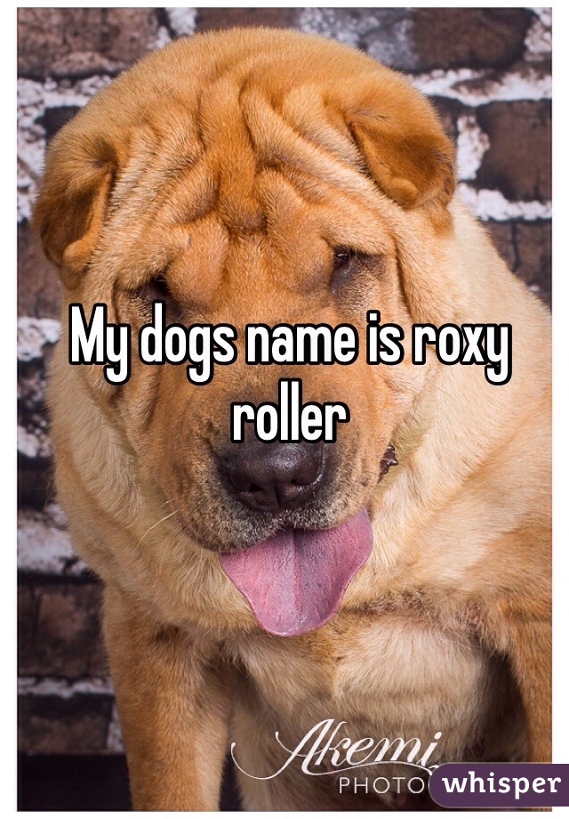 My dogs name is roxy roller 