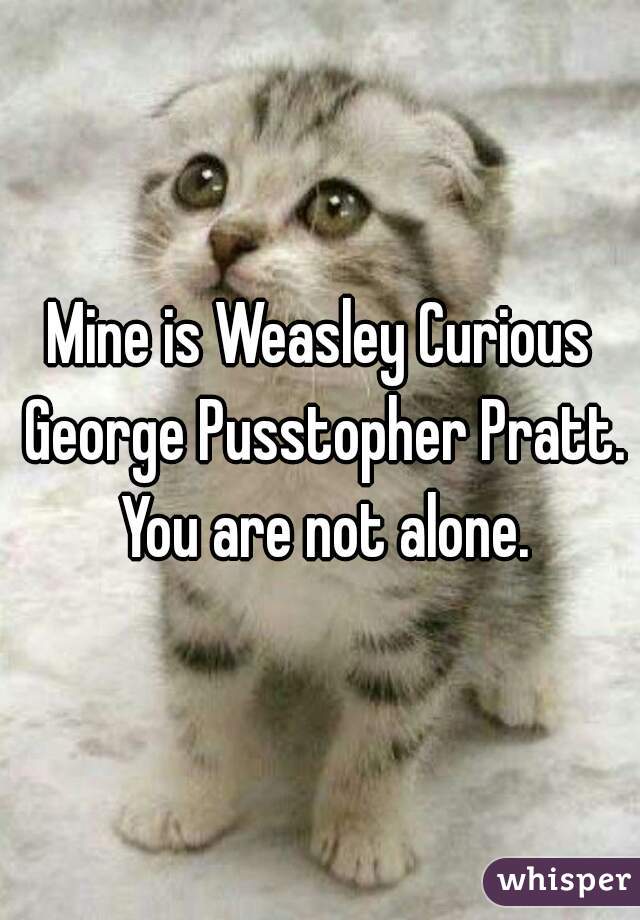 Mine is Weasley Curious George Pusstopher Pratt. You are not alone.