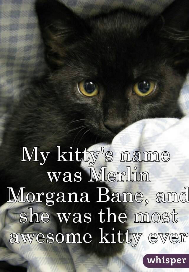 My kitty's name was Merlin Morgana Bane, and she was the most awesome kitty ever.