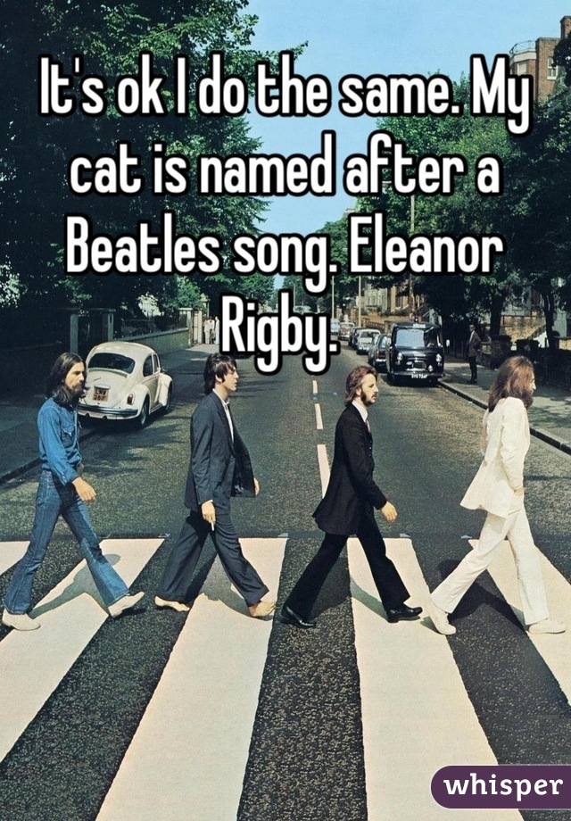 It's ok I do the same. My cat is named after a Beatles song. Eleanor Rigby. 