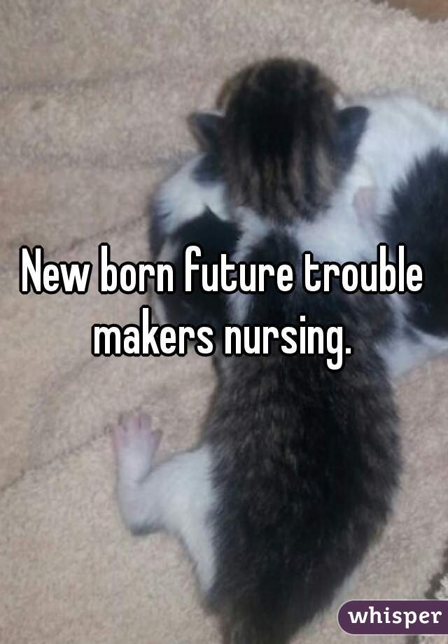 New born future trouble makers nursing. 