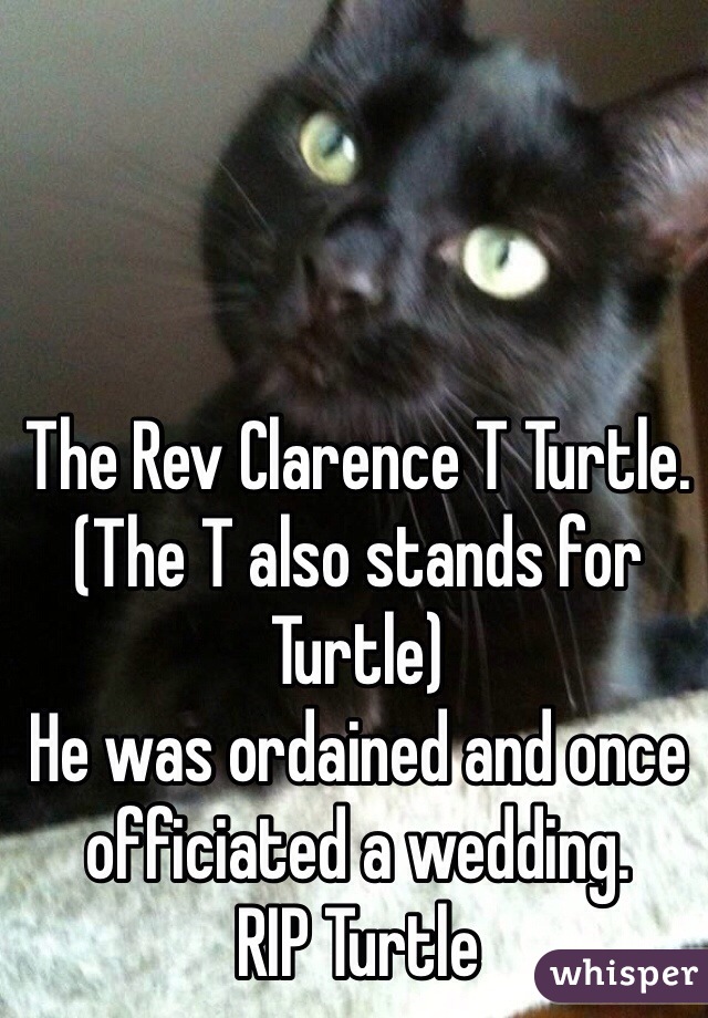 The Rev Clarence T Turtle. 
(The T also stands for Turtle)
He was ordained and once officiated a wedding. 
RIP Turtle