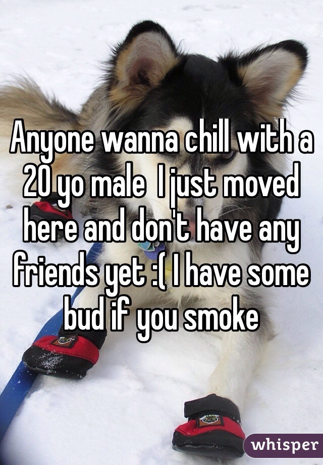 Anyone wanna chill with a 20 yo male  I just moved here and don't have any friends yet :( I have some bud if you smoke 

