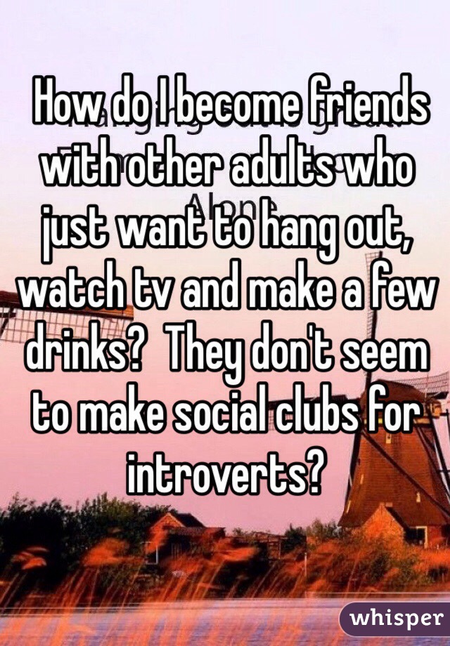  How do I become friends with other adults who just want to hang out, watch tv and make a few drinks?  They don't seem to make social clubs for introverts?
