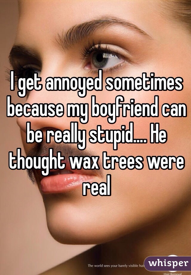 I get annoyed sometimes because my boyfriend can be really stupid.... He thought wax trees were real