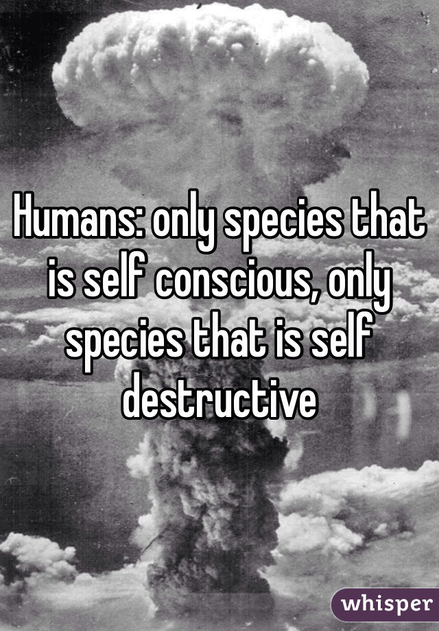 Humans: only species that is self conscious, only species that is self destructive 