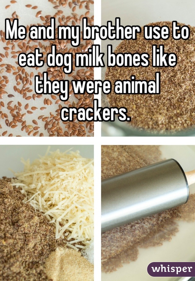 Me and my brother use to eat dog milk bones like they were animal crackers. 
