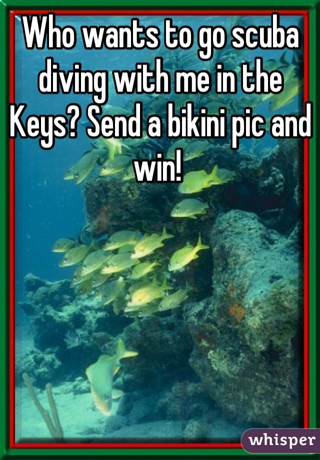 Who wants to go scuba diving with me in the Keys? Send a bikini pic and win! 