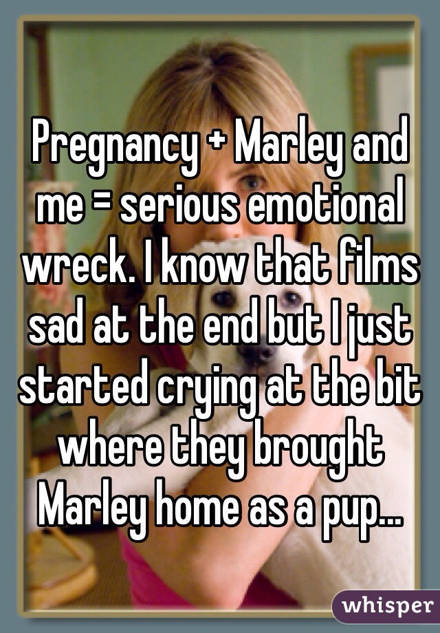 Pregnancy + Marley and me = serious emotional wreck. I know that films sad at the end but I just started crying at the bit where they brought Marley home as a pup... 
