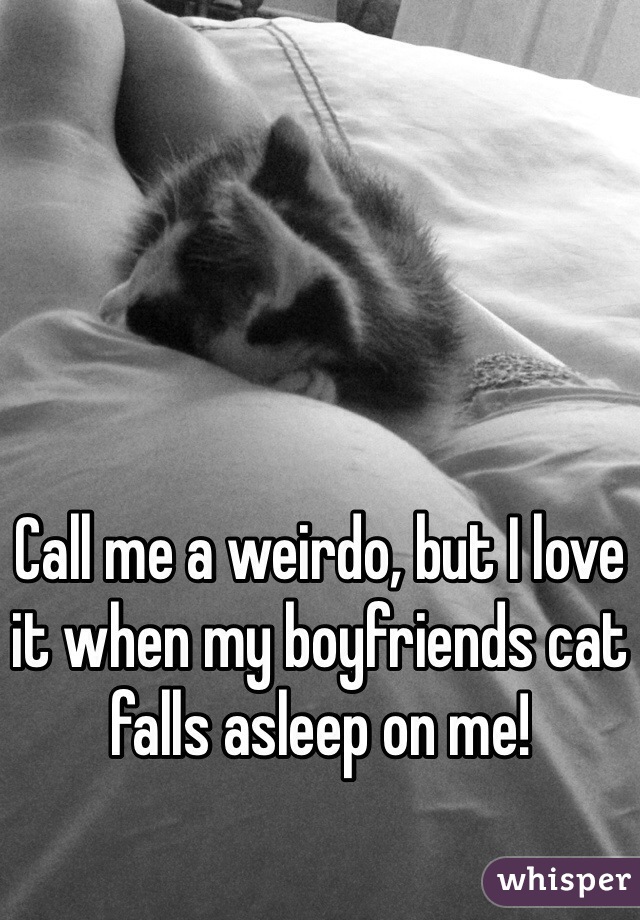 Call me a weirdo, but I love it when my boyfriends cat falls asleep on me! 