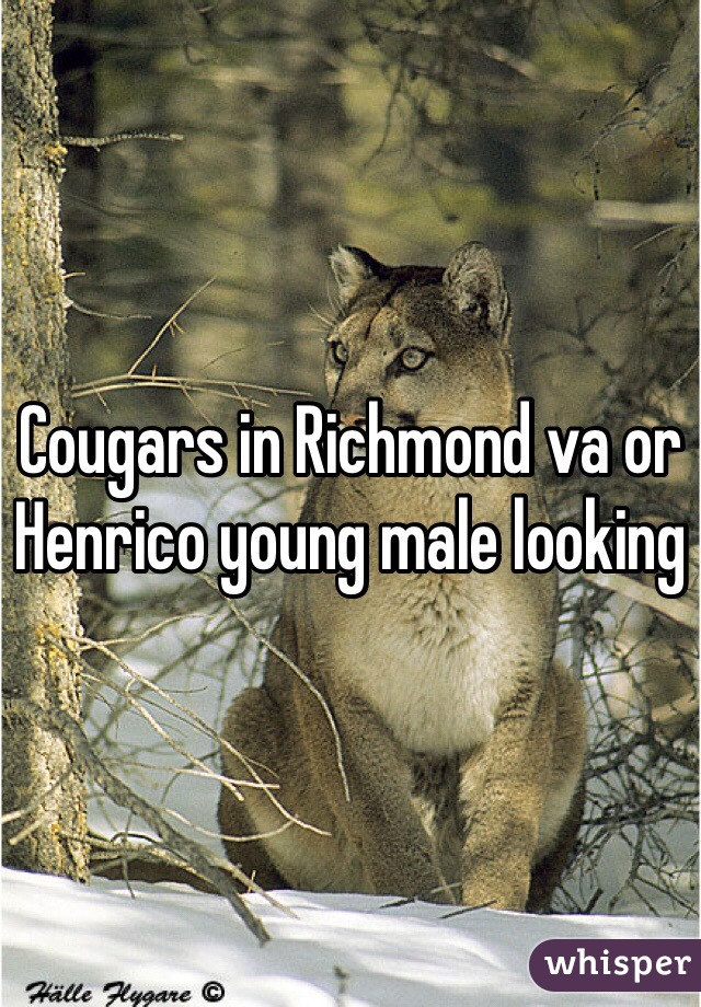 Cougars in Richmond va or Henrico young male looking