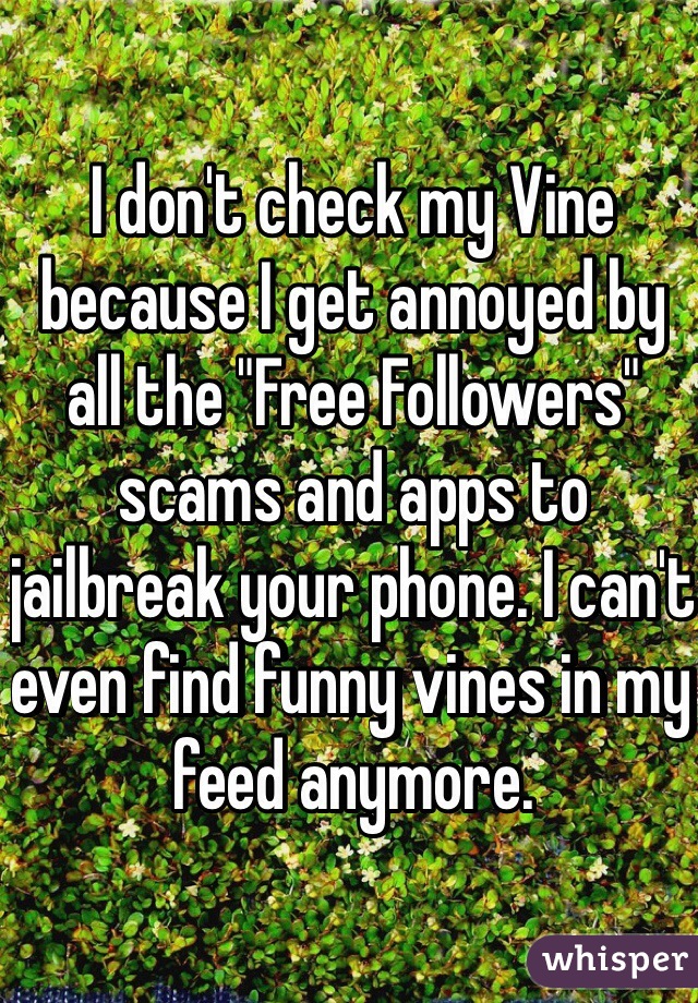 I don't check my Vine because I get annoyed by all the "Free Followers" scams and apps to jailbreak your phone. I can't even find funny vines in my feed anymore. 