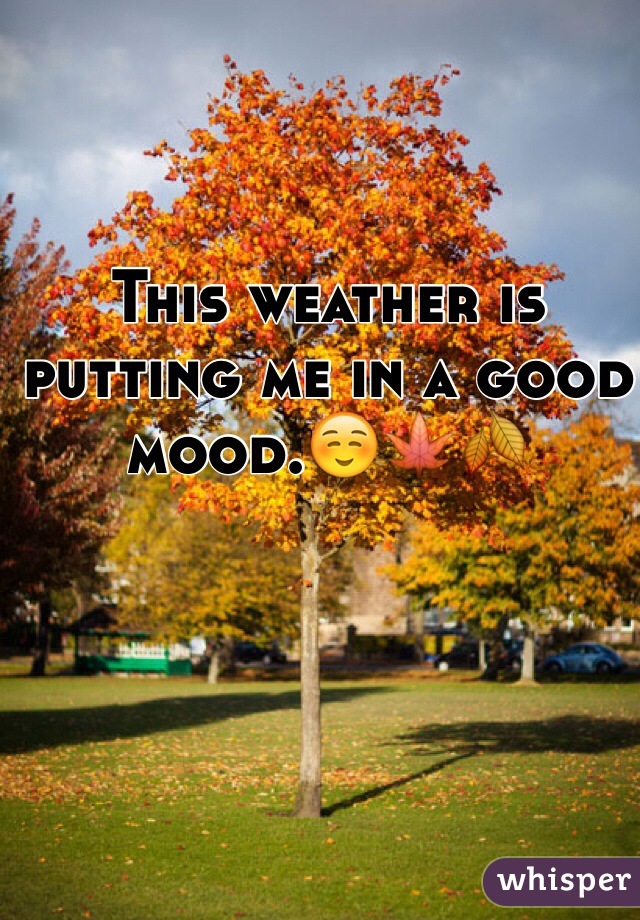 This weather is putting me in a good mood.☺️🍁🍂