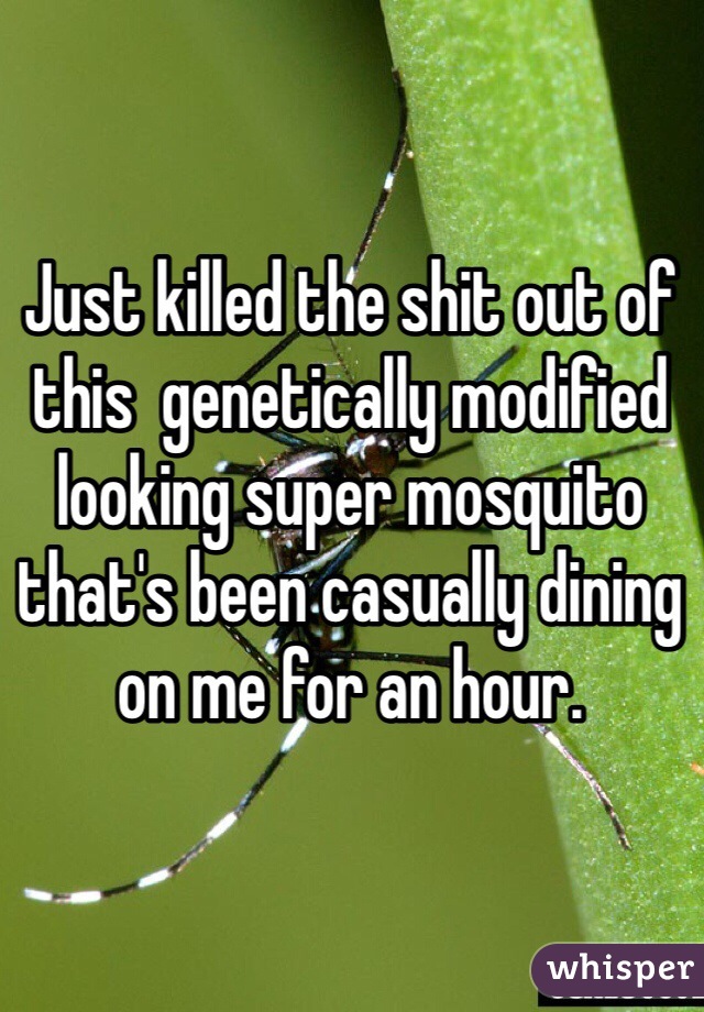 Just killed the shit out of this  genetically modified looking super mosquito that's been casually dining on me for an hour.