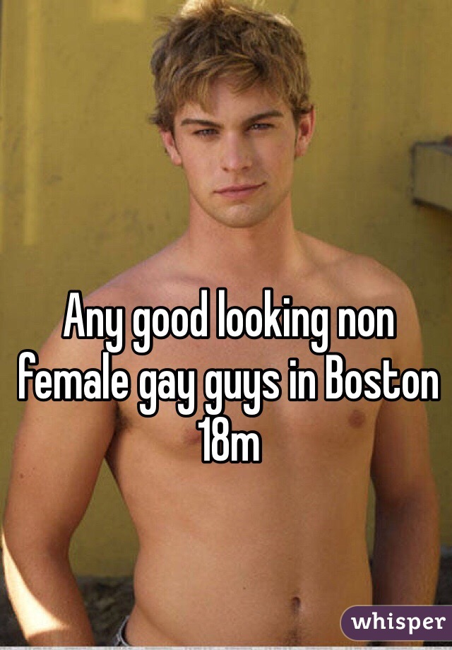 Any good looking non female gay guys in Boston 18m