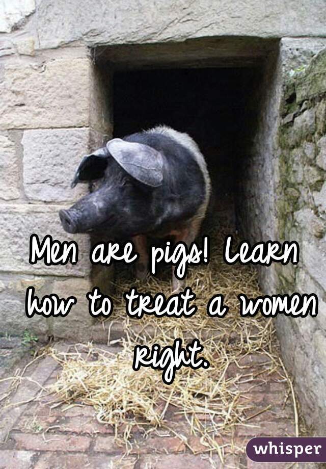 Men are pigs! Learn how to treat a women right.