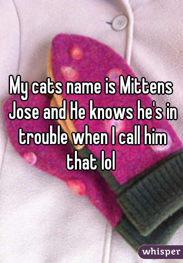 My cats name is Mittens Jose and He knows he's in trouble when I call him that lol 