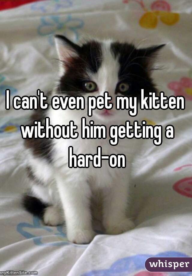 I can't even pet my kitten without him getting a hard-on