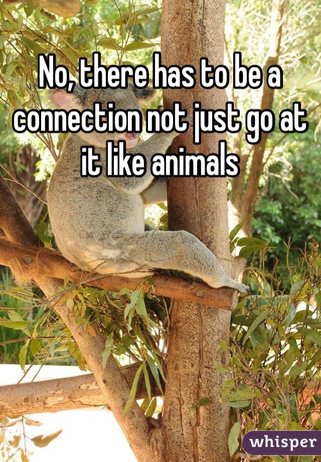 No, there has to be a connection not just go at it like animals