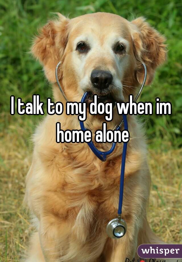 I talk to my dog when im home alone
 