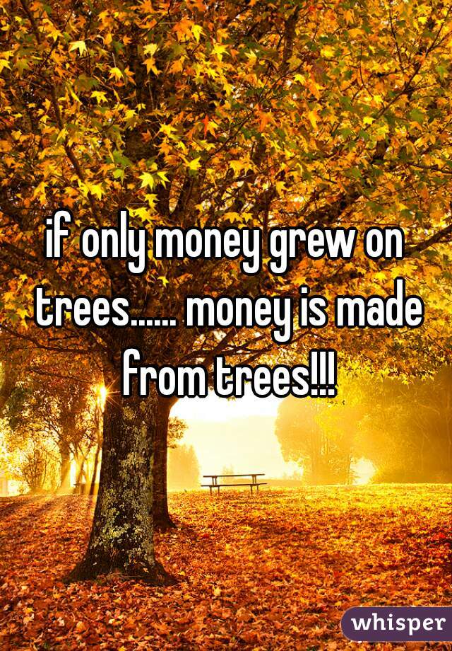 if only money grew on trees...... money is made from trees!!!
