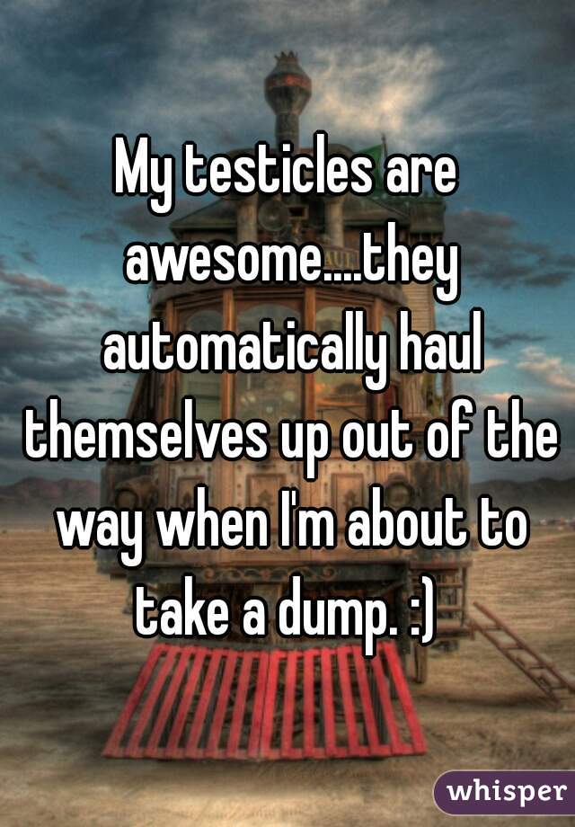 My testicles are awesome....they automatically haul themselves up out of the way when I'm about to take a dump. :) 