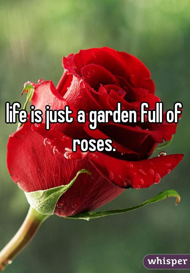 life is just a garden full of roses. 